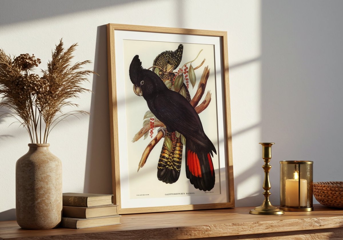 BANKSIAN COCKATOO - Sincerely Frank Art