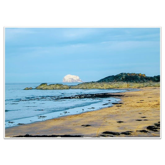 BASS IN THE EARLY EVENING - Sincerely Frank Art