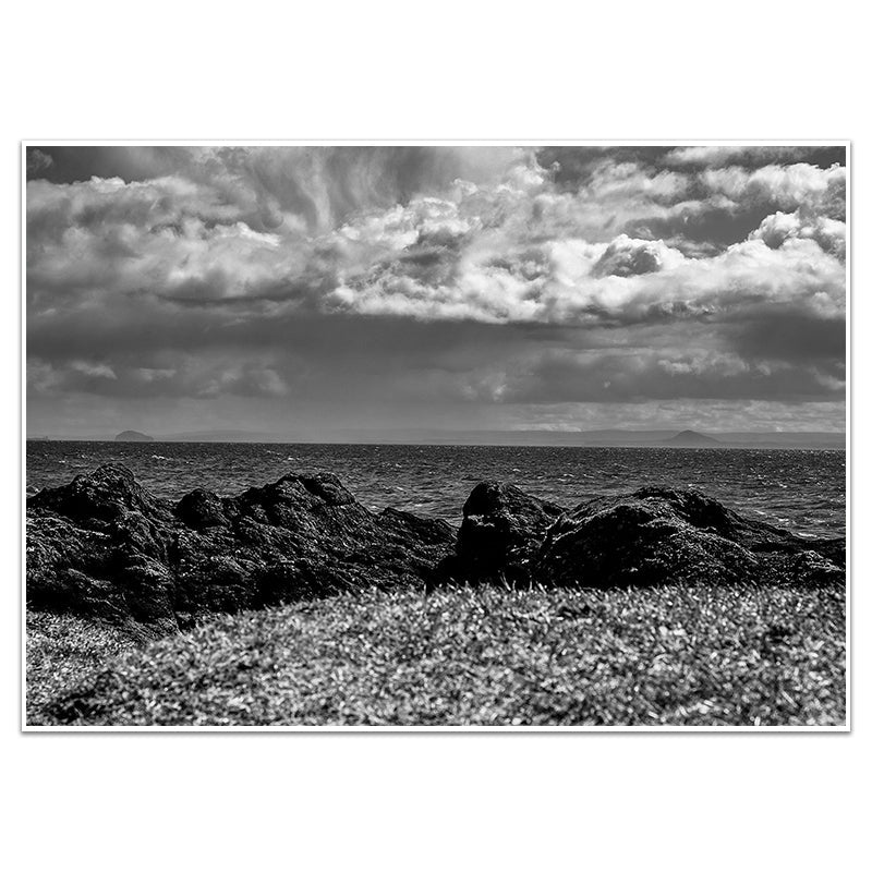 BASS ROCK & THE LAW - Sincerely Frank Art