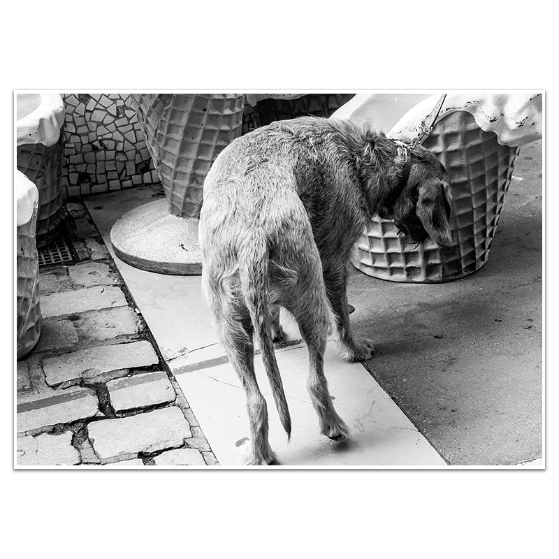 LE CHIEN - Sincerely Frank Art