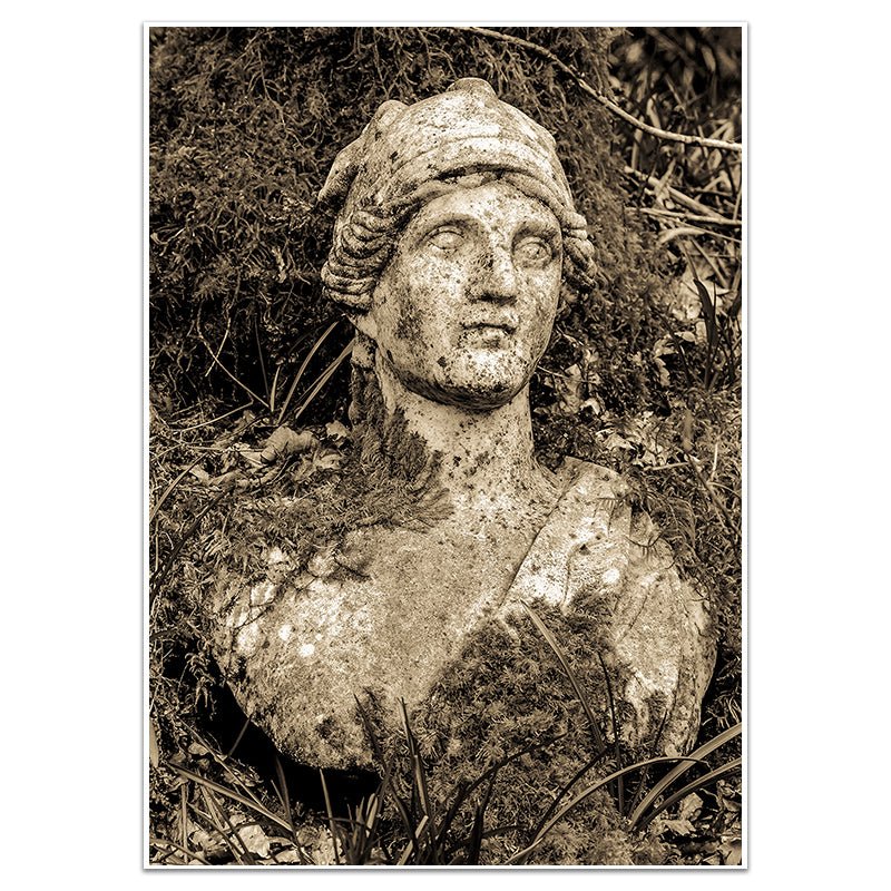 THE LOST GUARDIAN - Sincerely Frank Art