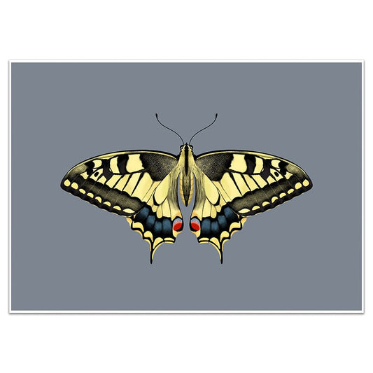 YELLOW SWALLOWTAIL BUTTERFLY - Sincerely Frank Art