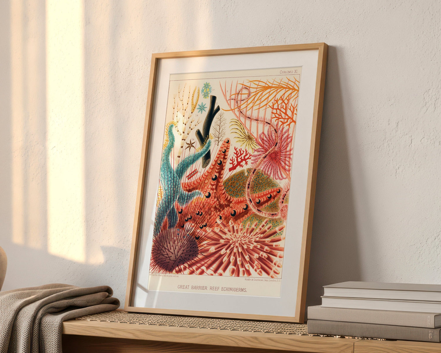 Fish & Crustaceans - Sincerely Frank Art