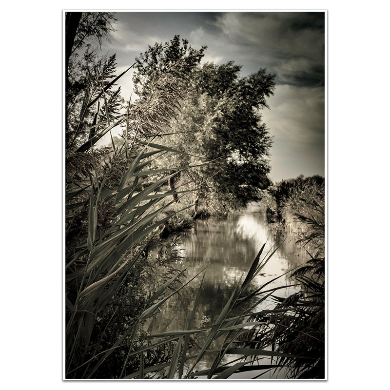 CANAL CARMARGUE