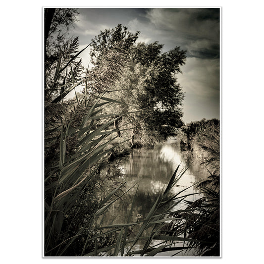 CANAL CARMARGUE