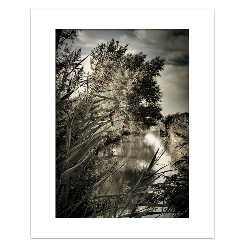 CANAL CARMARGUE