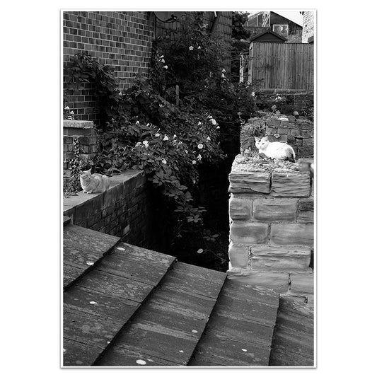 GUARDIANS OF THE GINNEL