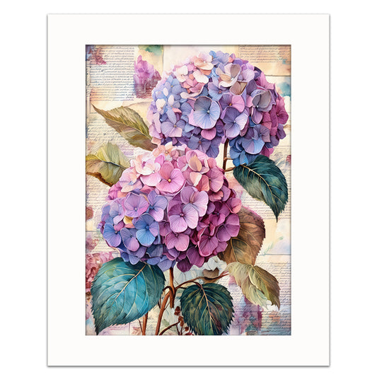 VINTAGE HYDRANGEA