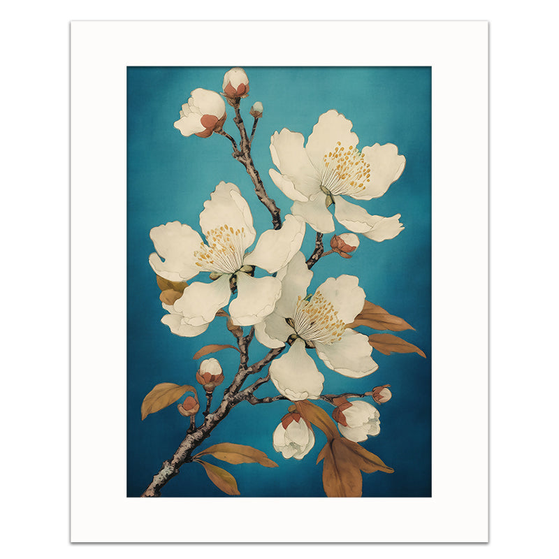 SOFT PETALS
