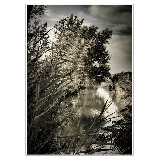 CANAL CARMARGUE - Sincerely Frank Art