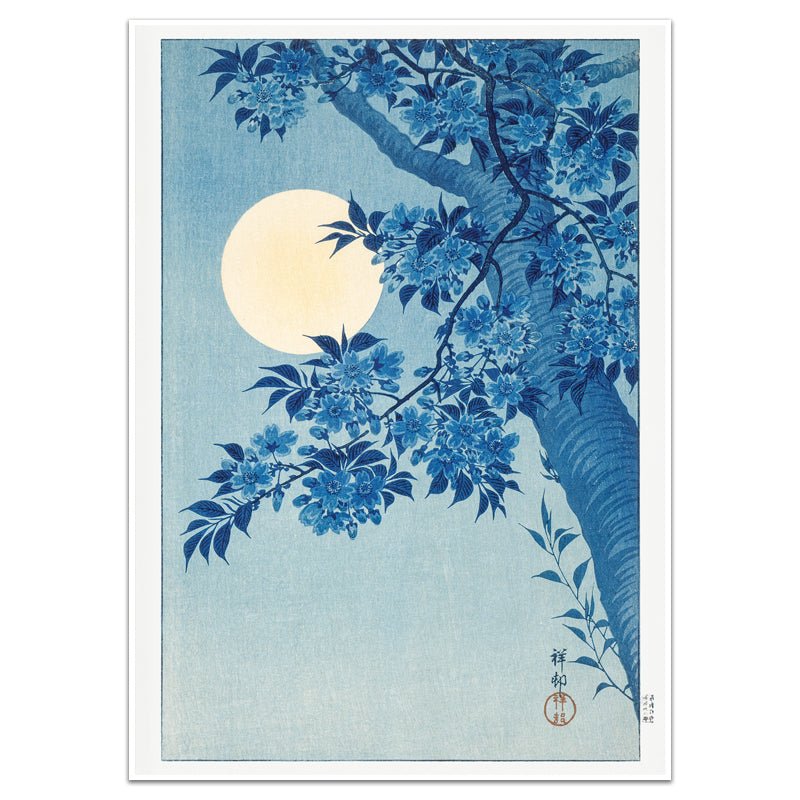 CHERRY BLOSSOMS AT NIGHT - Sincerely Frank Art