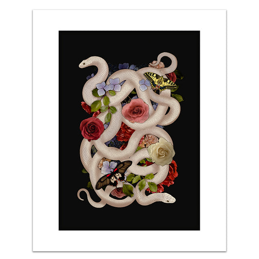 FOREST SERPENTS
