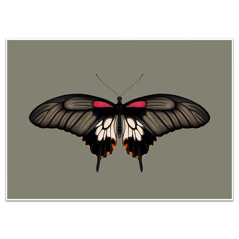 GREAT MORMON BUTTERFLY - Sincerely Frank Art