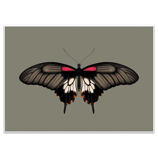 GREAT MORMON BUTTERFLY - Sincerely Frank Art