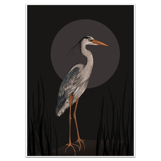 MOONLIT HERON