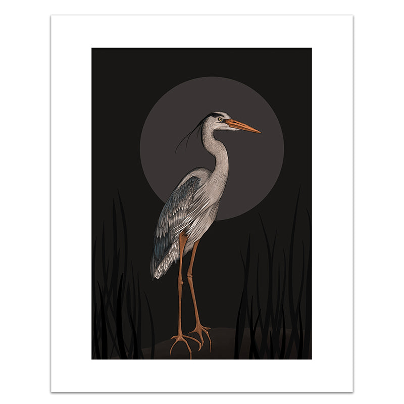 MOONLIT HERON