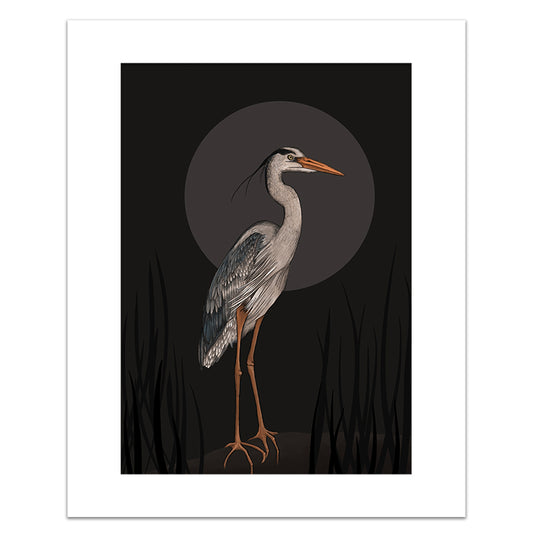 MOONLIT HERON