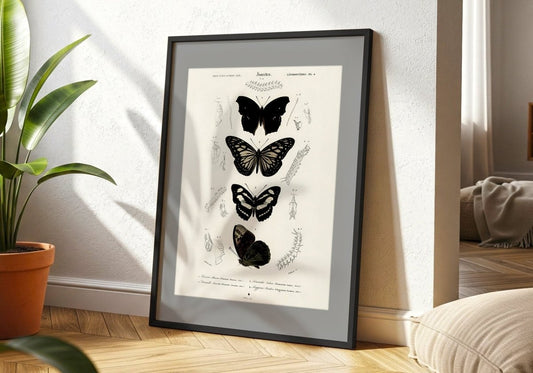 LÉPIDOPTÈRES - Sincerely Frank Art