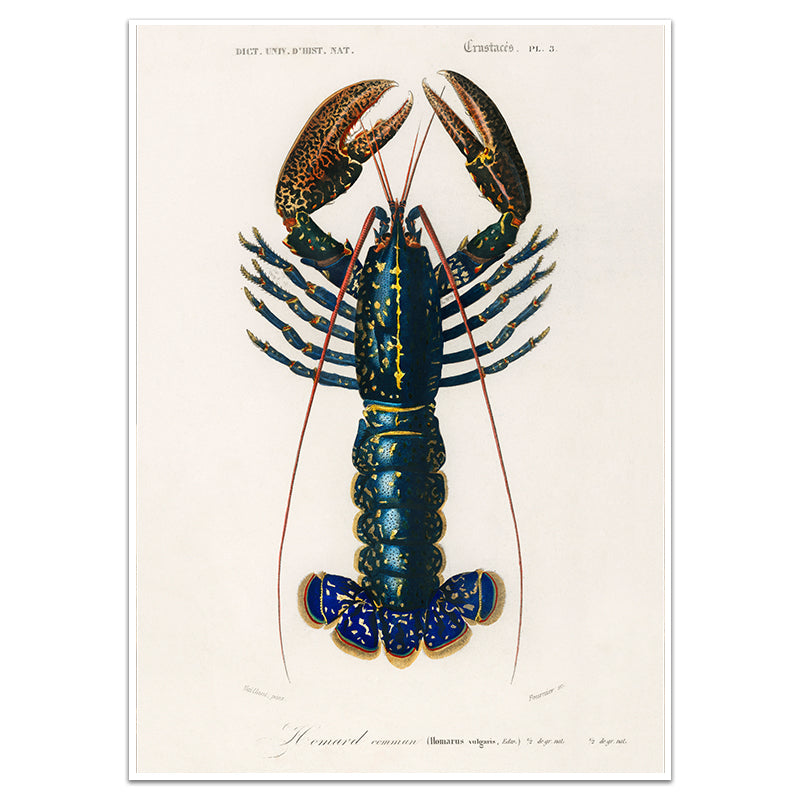LOBSTER