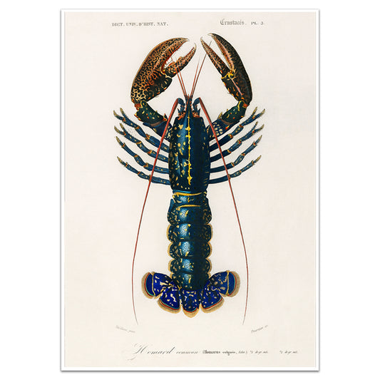 LOBSTER