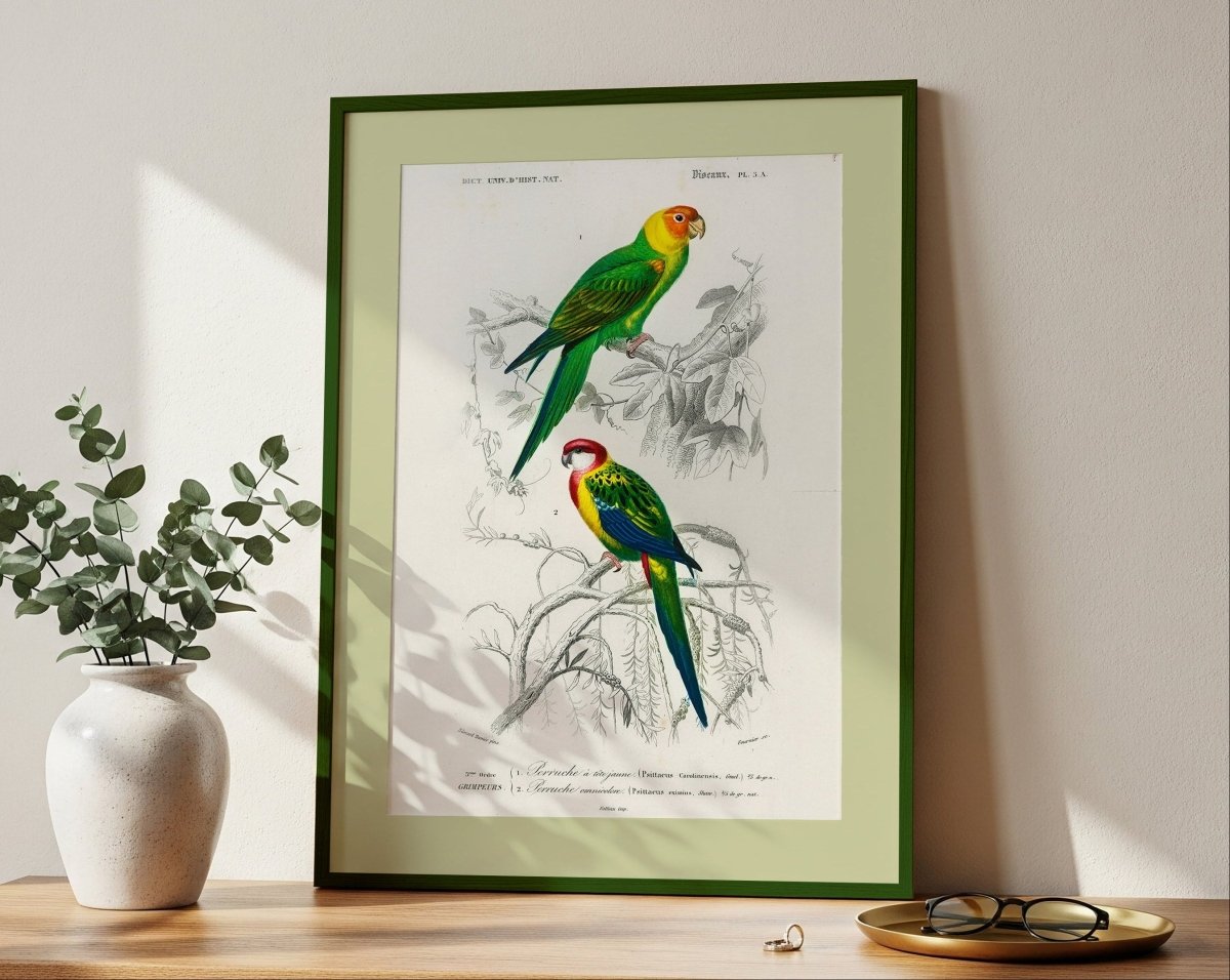 OISEAUX - Sincerely Frank Art