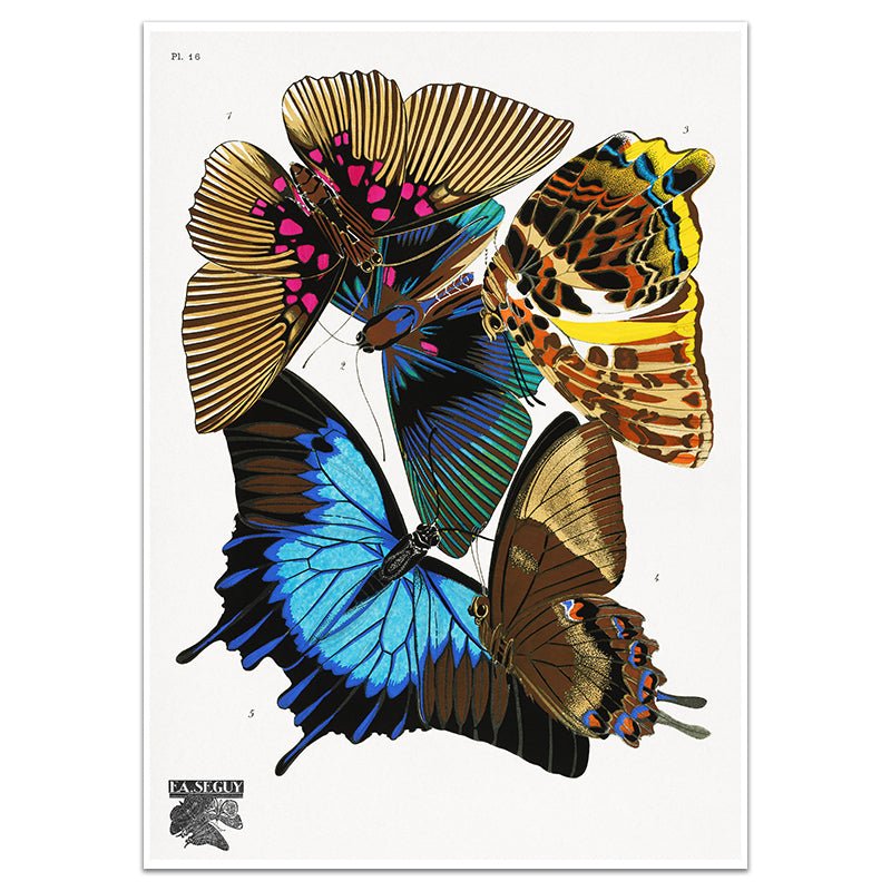 PAPILLONS PLATE 16 - Sincerely Frank Art