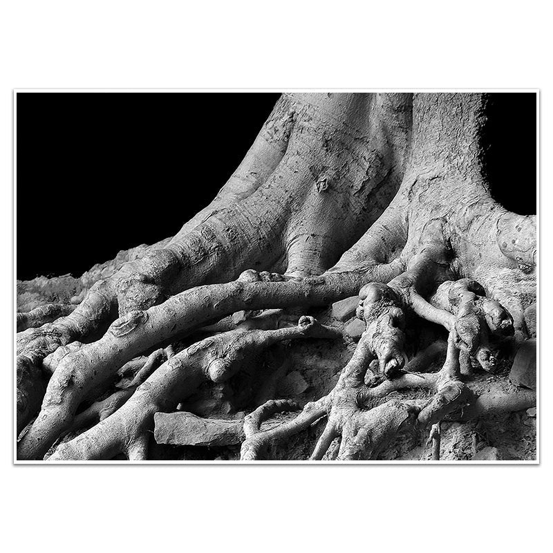 ROOTS - Sincerely Frank Art