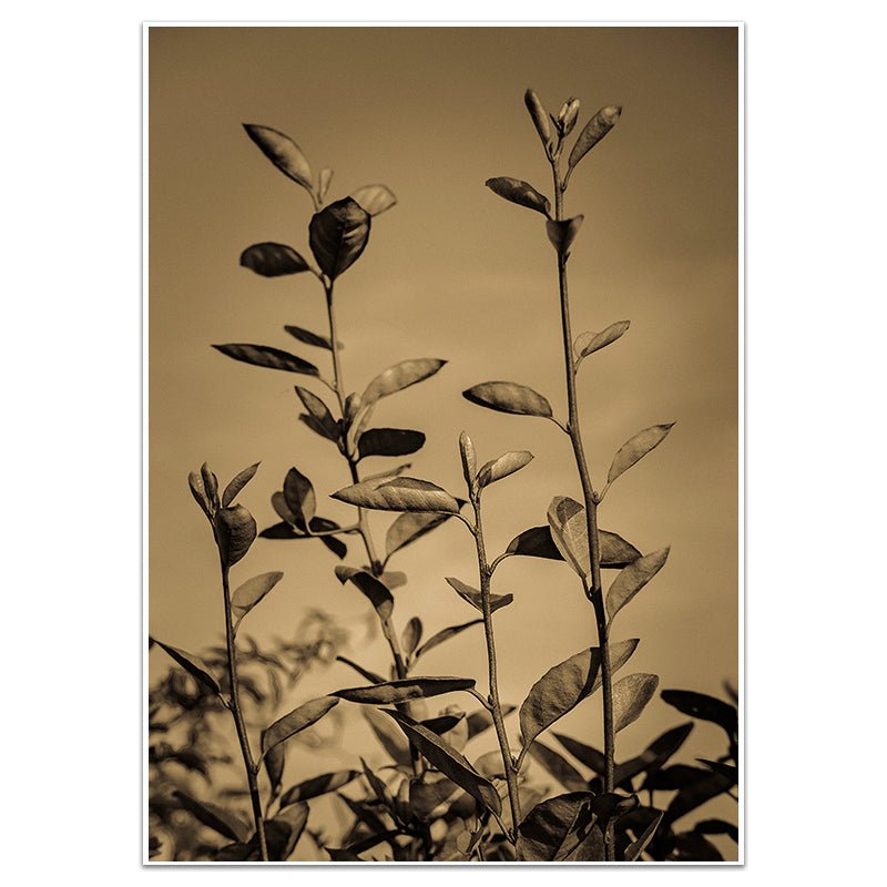 SEPTEMBER IN FRANCE - Sincerely Frank Art