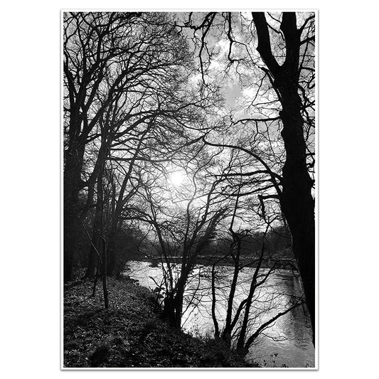 WHISPERS OF LIGHT