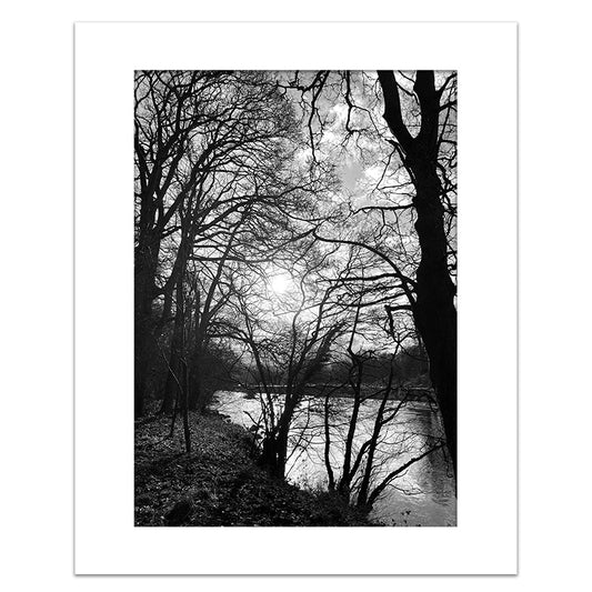 WHISPERS OF LIGHT
