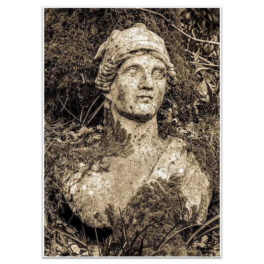 THE LOST GUARDIAN - Sincerely Frank Art