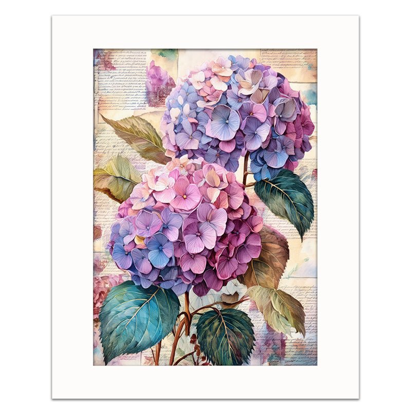 VINTAGE HYDRANGEA - Sincerely Frank Art