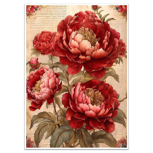 VINTAGE PEONIES - Sincerely Frank Art