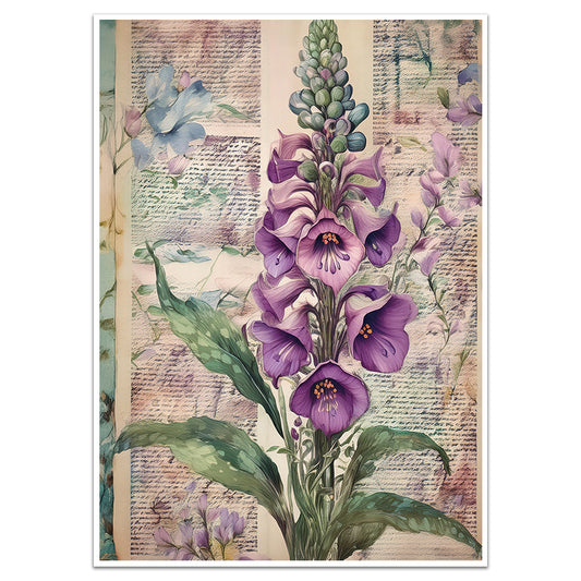 VINTAGE FOXGLOVE