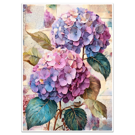 VINTAGE HYDRANGEA