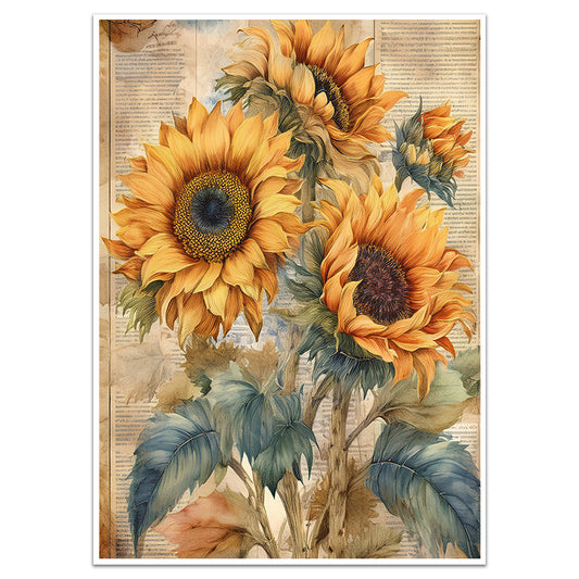 VINTAGE SUNFLOWERS