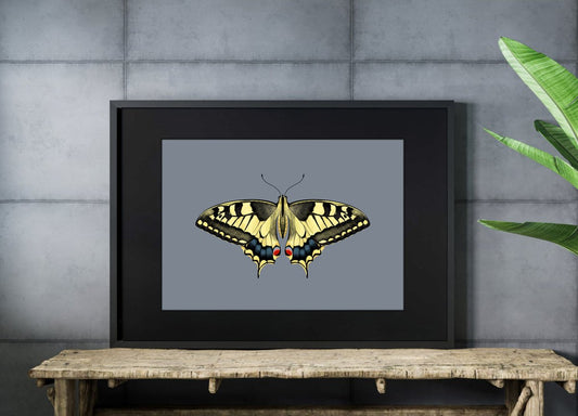 YELLOW SWALLOWTAIL BUTTERFLY - Sincerely Frank Art