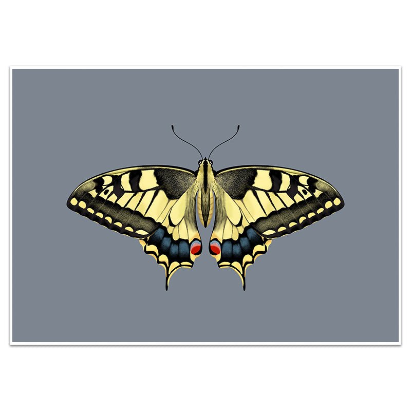 YELLOW SWALLOWTAIL BUTTERFLY - Sincerely Frank Art